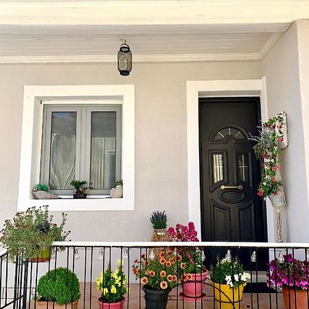 Leo'S City Apartment Лефкада Екстериор снимка